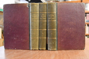 Geschichte des Ursprungs und der Entwickelung d...