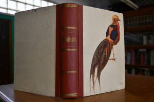 Fasanen und andere Hühnervögel.