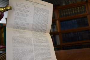 Hölderlins Ode an eine Fürstin von Dessau. Vers...