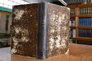 Das Recht der Gewährleistung beim Tierhandel au...