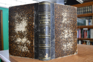 Motive zu dem Entwurfe eines Bürgerlichen Geset...