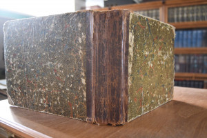 Naturgeschichte in Bildern mit erläuterndem Tex...