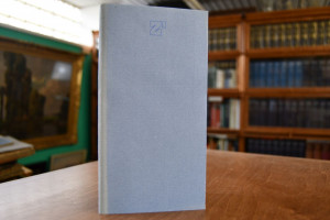 O Stimme der Stadt, der Mutter! Hölderlins Verh...