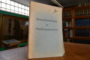 Deutschtumsfragen im Nordkarpatenraum (Vorträge...