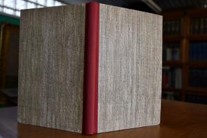 Preßburg und Umgebung. Lage, Wirtschaft und Deu...