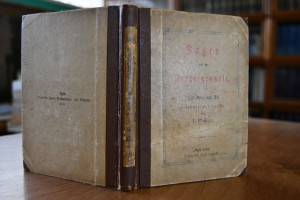 Sagen der Karpathenwelt. Für Jung und Alt gesam...