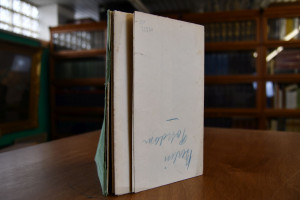 Kiessling´s Grosse Special-Karte der Umgegend v...