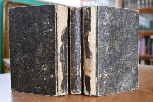 Robin der Rothe (Rob Roy). Ein romantisches Gem...