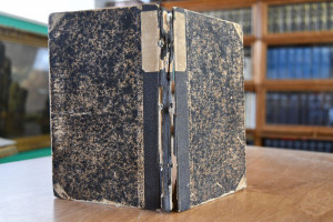 Sammlung von Gestüts-Brandzeichen der Staats- u...