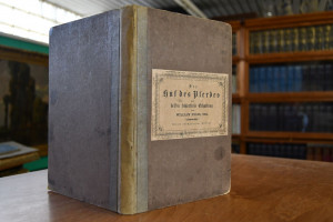 Der Huf des Pferdes und dessen fehlerfreie Erha...