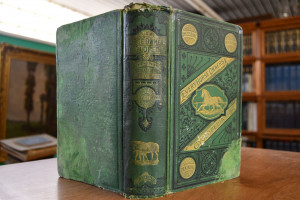 Every Horse Owners` Cyclopedia.