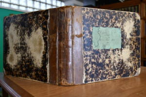 Orgelspielbuch. Eine Sammlung von kirchlich-cla...