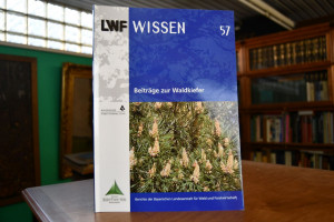 Beiträge zur Waldkiefer.