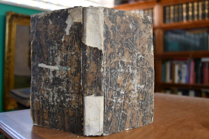 Anweisung zu Taxation der Forsten nach den hier...