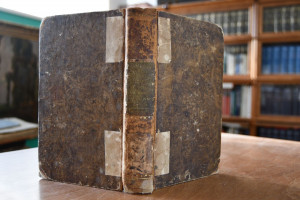 Napoleon in der Verbannung oder eine Stimme aus...