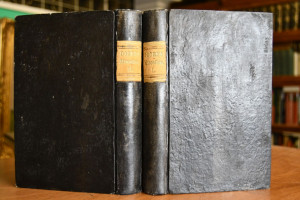 Miscellaneen zur Geschichte der teutschen Liter...