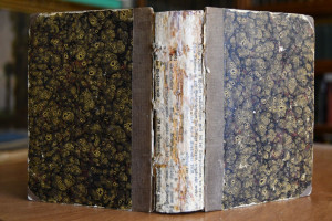 Kreuz- und Querzüge des Ritters A. bis Z. 2 Tei...