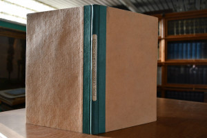 Die Uebergegensätzlichkeit der Werte. Gedanken ...