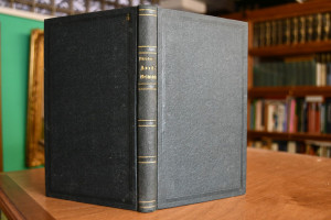 Beiträge zur neuern Kunstgeschichte.