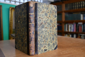 Ueber die Erkenntnis und Behandlung des Typhus ...