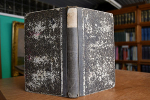 Schopenhauer-Lexikon. Ein philosophisches Wörte...