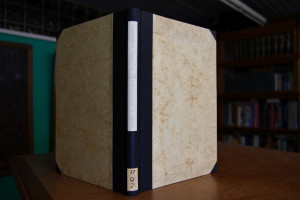 Das Grundbuch von Dirschau.