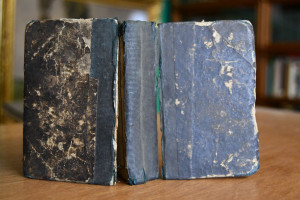 Taschen-Fremdwörterbuch  oder Verdeutschung von...