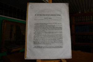 III. Ueber Raute, Prisma und Kegel in akrometri...