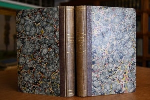 Skizze aus dem Alltagsleben. Nina. 2 Theile in ...