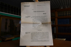 Bittgesuch vom 11. Februar 1919 an die Deutsche...