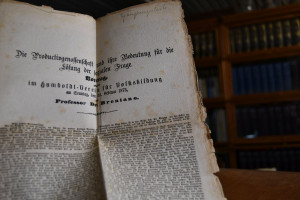 Die Productivgenossenschaft und ihre Bedeutung ...