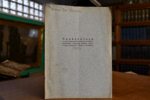 Der Eskorial als künstlerischer Wesensausdruck ...