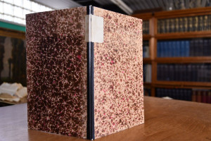 Buchbesprechung von Gofffried Zedeler Veröffent...