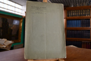 Das voretruskische und etruskische Bologna.