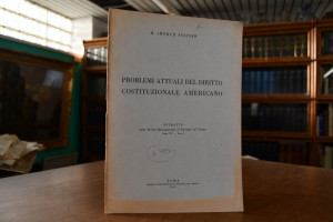 Problemi attuali del diritto contituzionale ame...