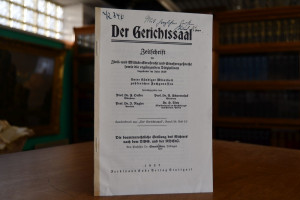 Die beamtenrechtliche Stellung des Richters nac...