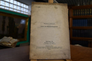 Der Yoga-Schlaf bei den Südslaven.