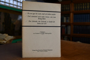 Es war gut für mich, daß ich leiden musste. - U...