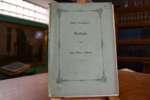 Zwölf Fragmente über Geologie, oder Beleuchtung...