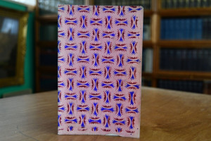 Die Halle des Frohsinns. Original-Postbücherl f...