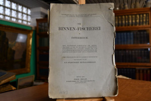 Die Binnen-Fischerei in Österreich. Eine statis...