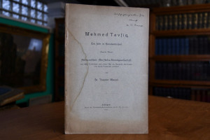 Mehmed Tevfiq, Ein Jahr in Konstantinopel. Zwei...