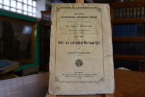 Ueber die südslavische Guslaren-Epik.