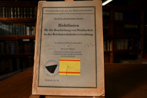 Richtlinien für die Bearbeitung von Strafsachen...