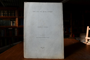 Eine Vila mit sechs Flügeln. Ein bosnisch Gusla...