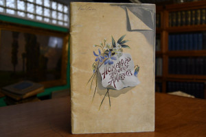 Homeward through America.