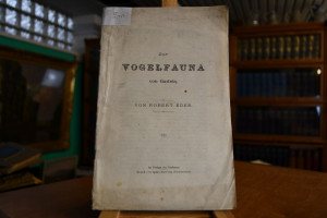 Zur Vogelfauna von Gastein.