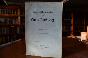 Das Pathologische bei Otto Ludwig.