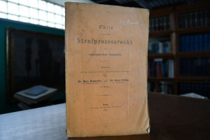 Fälle aus dem Strafprozessrecht zum akademische...