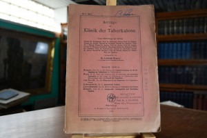 Beiträge zur Klinik der Tuberkulose. Band II, H...